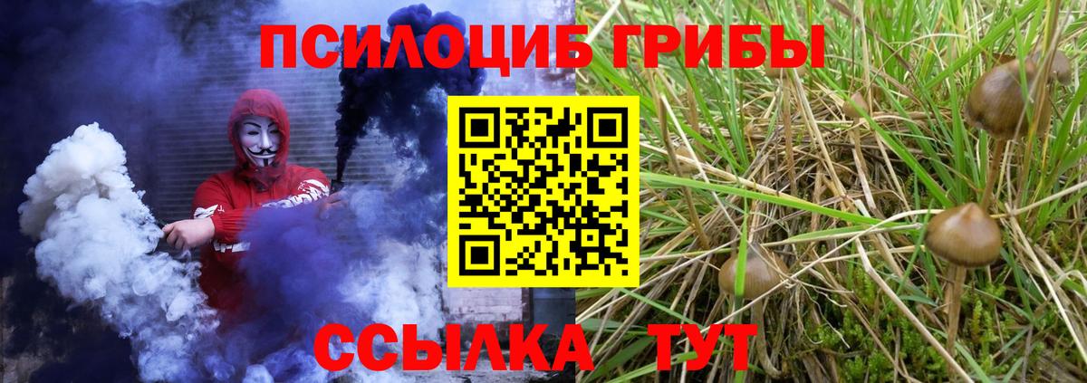 Галлюциногенные грибы Psilocybe  Вход с VPN  Приморско-Ахтарск 